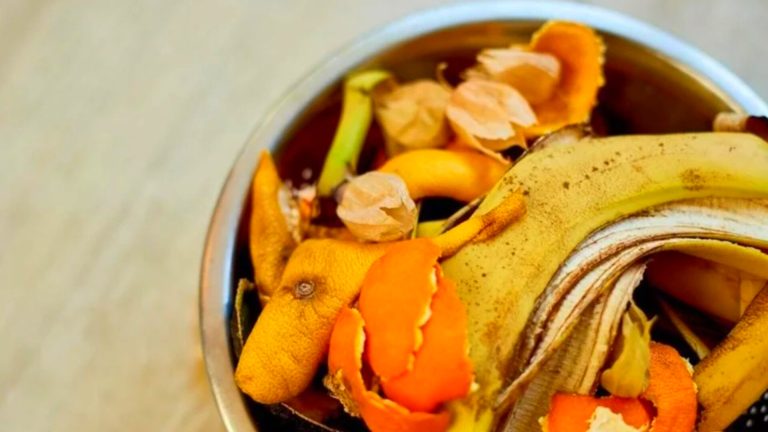 ফলের ফেলে দেওয়া খোসায় নতুন রেসিপি