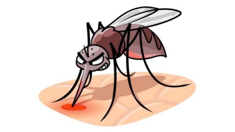 এবার বাড়তে পারে রক্তক্ষরণজনিত ডেঙ্গু