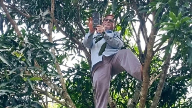 নেটওয়ার্কের খোঁজে আমগাছের ডালে প্রধান শিক্ষক