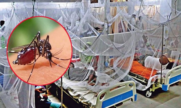 দেশব্যাপী ডেঙ্গুর থাবা, আক্রান্ত ও মৃত্যু দুটিই ঊর্ধ্বমুখী