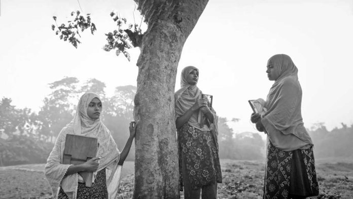 ‘দ্য ব্লাইন্ড গার্ল অ্যান্ড অ্যান এলিফ্যান্ট’
