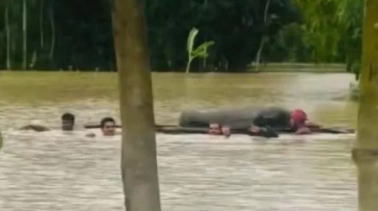 ভেলায় লাশ ভাসিয়ে ২ কিমি দূরে দাফন