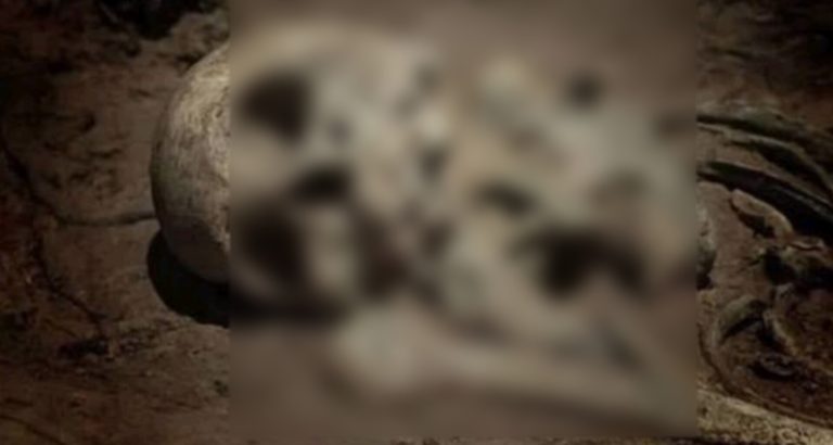 নিখোঁজের ১২ দিন পর ঝোপে মিলল বৃদ্ধের কঙ্কাল