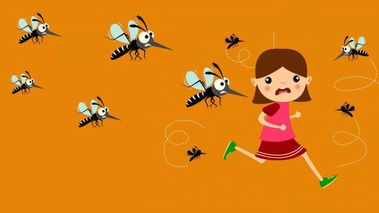 একদিনে ৭৫৩ ডেঙ্গু রোগী হাসপাতালে, মৃত্যু আরও ৩