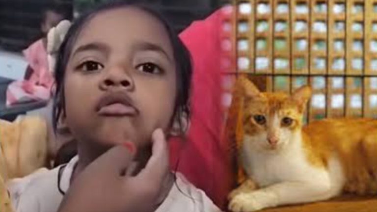 বিড়ালের আঁচড়ের পর হঠাৎ শিশুর মুখে ‘মিউ মিউ’ শব্দ!