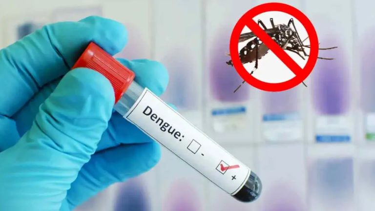 ডেঙ্গুতে একদিনে ৫ জনের মৃত্যু, ভর্তি ৮৩৯