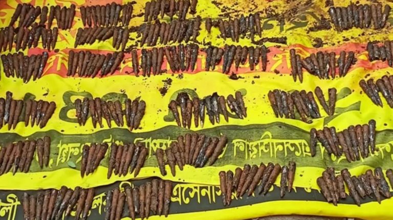 ড্রেন খুঁড়তেই বেরিয়ে এলো ৩৩৪টি গুলি!