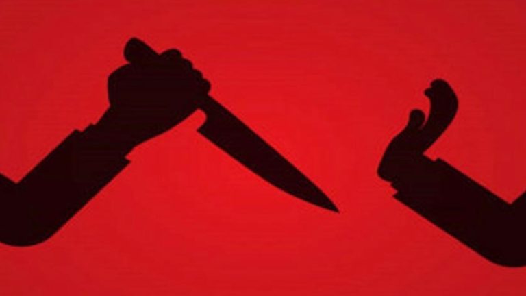জামিনে বেরিয়ে কুপিয়ে হত্যা ‘পিচ্চি জাহেদ’