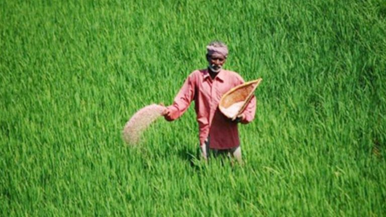 সার সংকট ঠেকাতে ৬৪ জেলায় মনিটরিং সেল