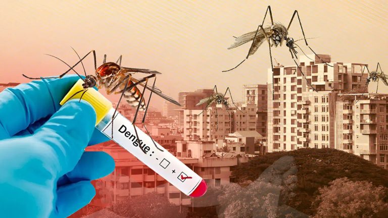 চট্টগ্রামে ডেঙ্গুর ছোবল, একদিনে আক্রান্ত ৮৬