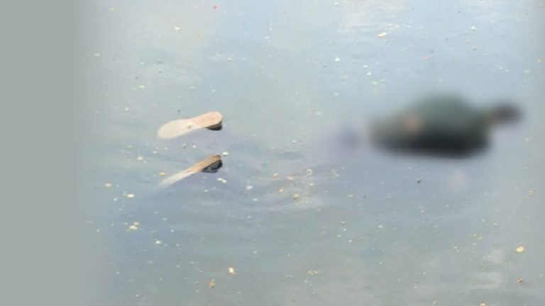 ধানমন্ডি লেক থেকে ভাসমান মরদেহ উদ্ধার
