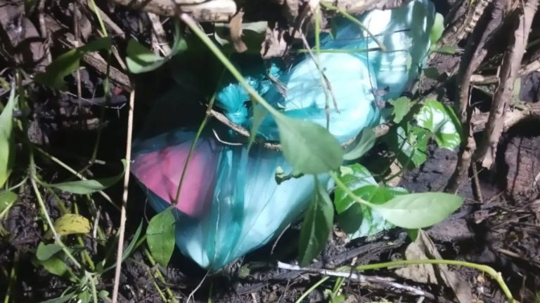 জুলাই জাদুঘরের পাশে ৫ ককটেল, নাশকতার আশঙ্কা