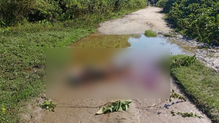 রাঙ্গুনিয়ায় বিলের পাশে মিলল দুই হাত বিচ্ছিন্ন মরদেহ